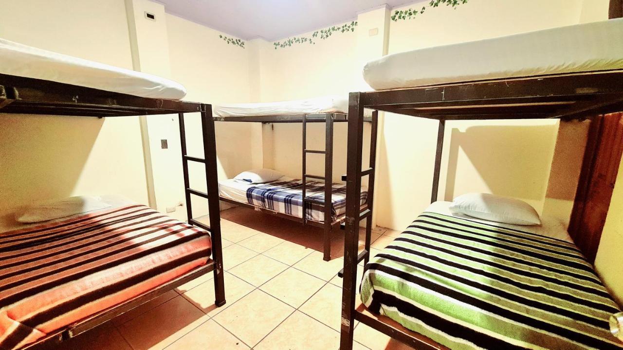 Eco Hotel Puerto Urbano 436 Σαν Χοσέ Εξωτερικό φωτογραφία
